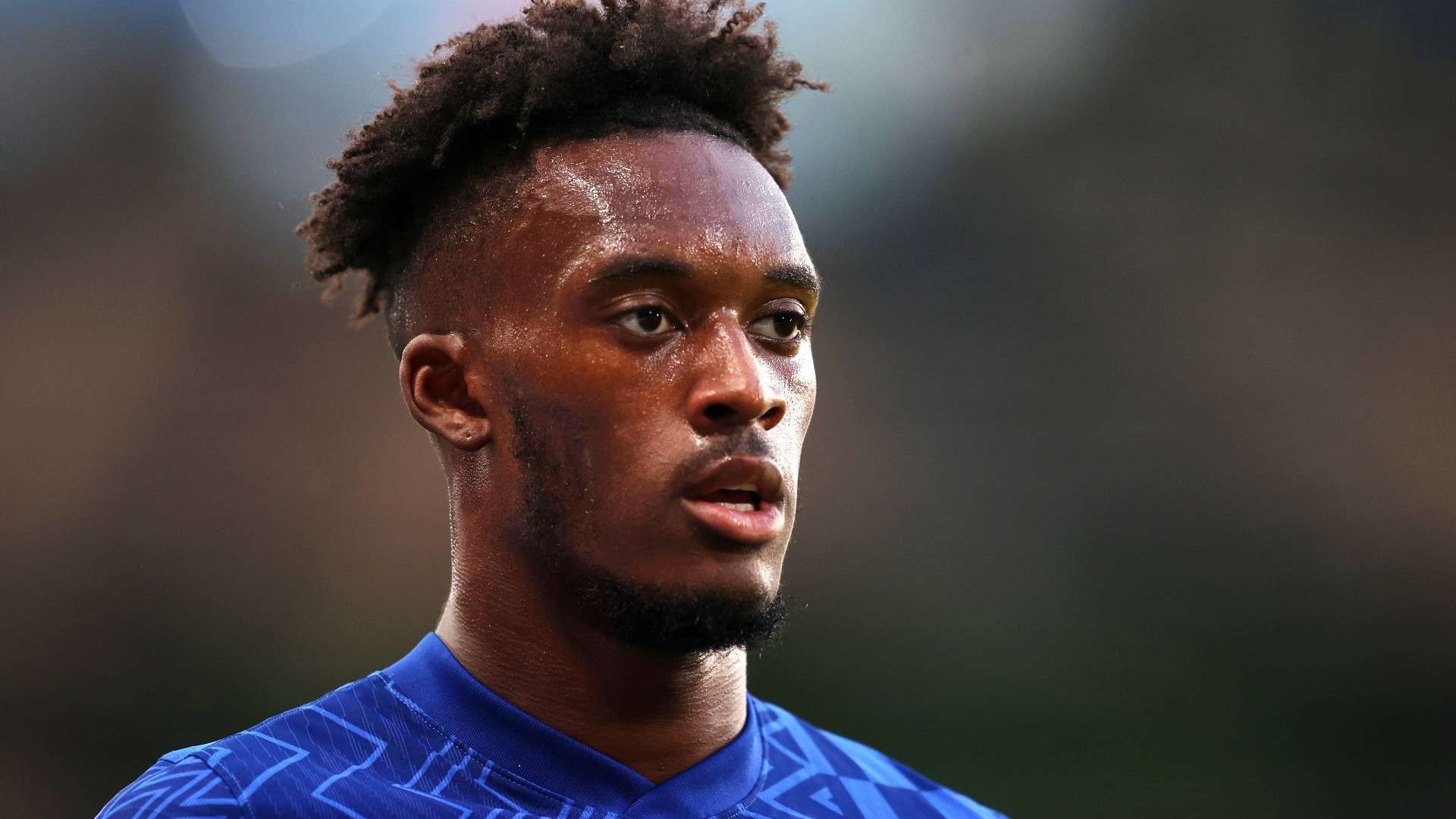 实的青训体 实的青训体